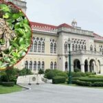 Python in Government House: Officials search to find slithery mum | Thaiger