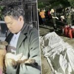 Cat-astrophic fire in Bangkok building kills 21 cats, injures five | Thaiger