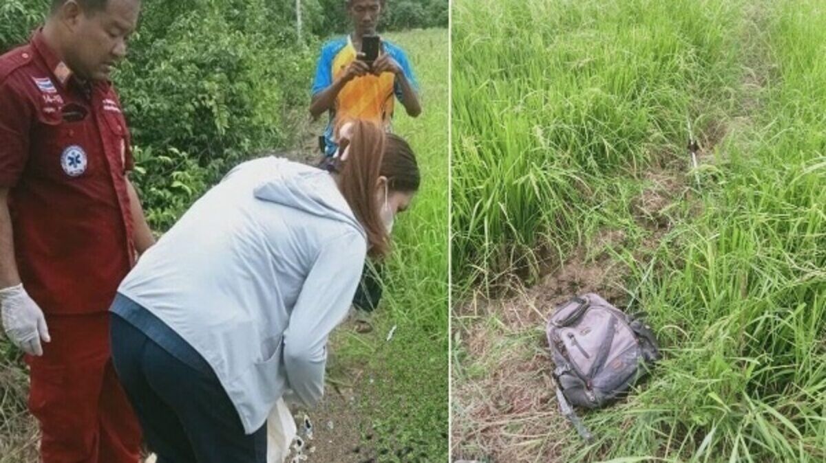 Detached blade from rice-cutting machine tragically kills farmer