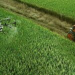 Fielding opinions: OAE seeks public input on agri-operator rules | Thaiger