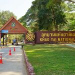 Heavy flooding forces closures in Khao Yai National Park | Thaiger