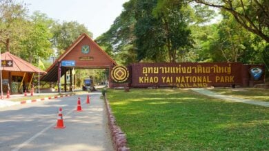 Heavy flooding forces closures in Khao Yai National Park