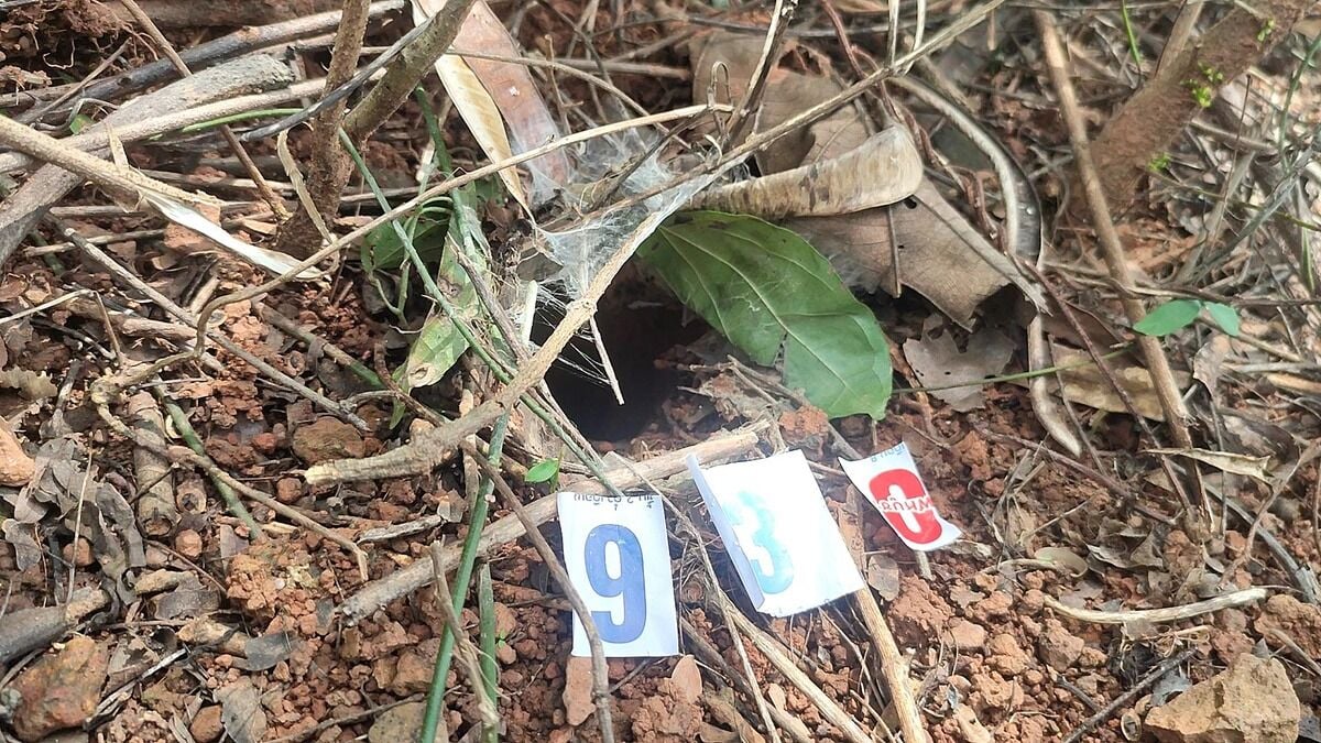 Man seeks lottery numbers from tarantula burrow in Phetchabun