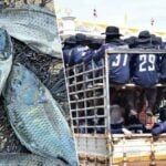 Thai prisons fight fish outbreak with new menu and inmate fishing | Thaiger