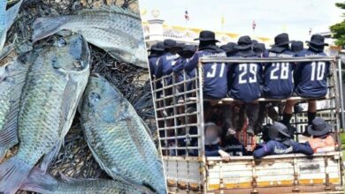 Thai prisons fight fish outbreak with new menu and inmate fishing