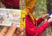 Lost lottery tickets found in Thai forest spark social media frenzy (video)