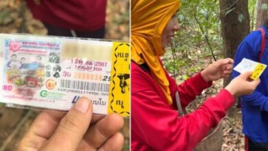 Lost lottery tickets found in Thai forest spark social media frenzy (video)