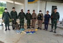 Military sniffer dogs help seize 69,000 meth pills in Chiang Rai
