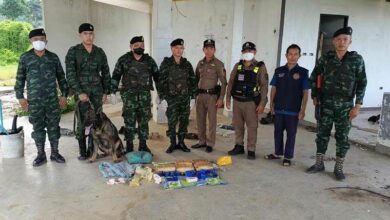 Military sniffer dogs help seize 69,000 meth pills in Chiang Rai