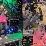 Thai singer battle swarm of termites while on stage (video)