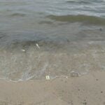 Oil stains littered across Jomtien Beach prompts cleanup efforts | Thaiger