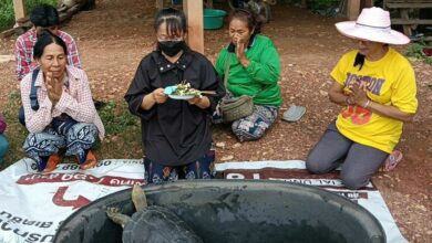 Giant turtle brings excitement and fortune to Phetchabun home