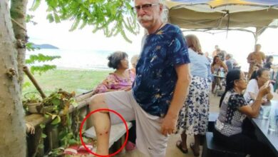 Swiss man paws for thought after dog bites on Thai beach (video)