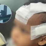 Thai mother appeals for help after monkey bites daughter | Thaiger