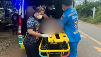 Autistic Thai boy dies after parents leave him in car for party