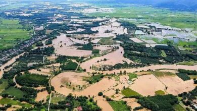 Flooding in Chiang Rai claims two lives, submerges 15,000 rai of farmland