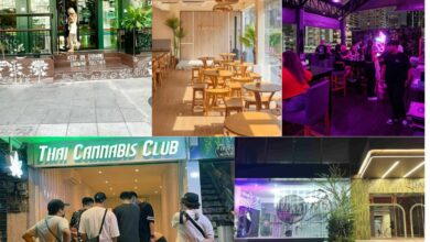 Top 5 cannabis dispensaries in Asoke