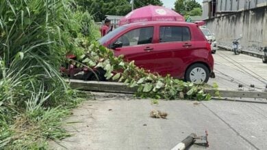 Driver severely injured in high voltage pole crash in Chon Buri