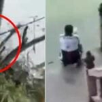 Reel trouble in Phuket: Man hooked for fishing in temple pond | Thaiger