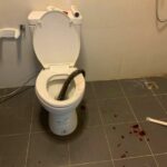 Toilet terror: Thai man&#8217;s shocking snake bite nightmare (video) | Thaiger