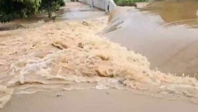 Sukhothai flood: 20-metre barrier breach impacts over 100 homes