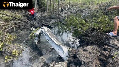 Thailand Video News | Small Plane Crashes in Chachoengsao Mangrove, Six-Year-Old Boy Found Alive After Five Days in Vietnam Forest