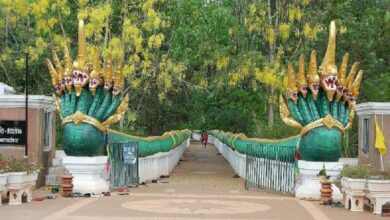 Visitors flock to Khamchanod for sacred water bowl ritual