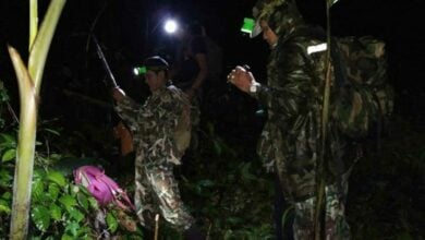 Thailand to increase forest ranger salaries and workforce