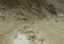 Woman injured by debris from grass-cutting operation in Phuket