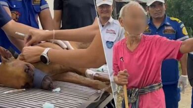 Elderly man found dragging injured dog along Thai village road