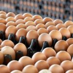 Egg-spect another price hike as duck eggs &#8216;crack&#8217; up to 5.10 baht | Thaiger