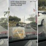 Malaysian woman goes viral for transporting durians on car (video) | Thaiger