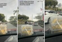 Malaysian woman goes viral for transporting durians on car (video)