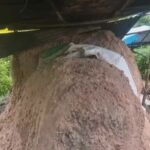 Family mourns paralysed brother found dead near Udon Thani kiln | Thaiger