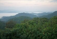 Thailand’s park department concerns over forest conservation bills