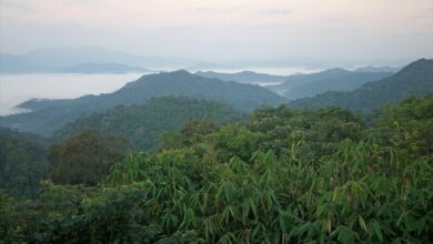 Thailand’s park department concerns over forest conservation bills