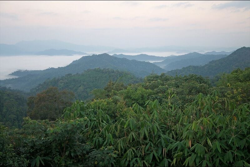 Thailand’s park department concerns over forest conservation bills