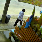 Foreign fortune-teller harasses Thai women for money | Thaiger