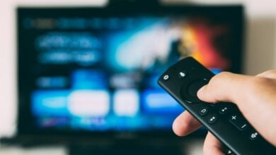 Calls to extend digital TV licences beyond 2029 to support industry