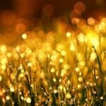 Gold prices steady in Thailand, gold ornaments at 40,950 baht | Thaiger