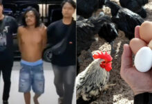 Indonesian man killed over age-old ‘chicken or egg’ question