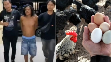 Indonesian man killed over age-old ‘chicken or egg’ question