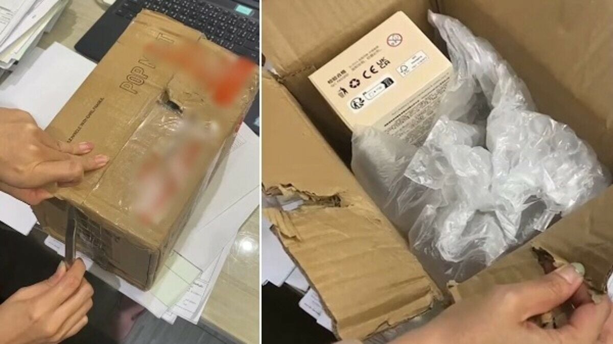 Thai woman’s Labubu toy order stolen from damaged package