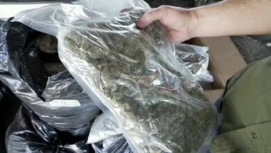 Thai cops ‘bud’ out Taiwanese cannabis smugglers in Bangkok bust