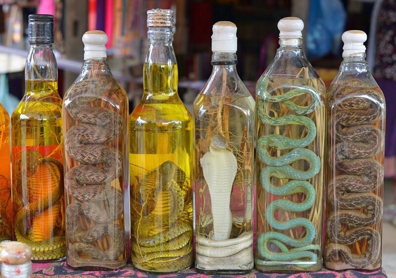 Man drinks fake snake wine for health, risks kidney failure