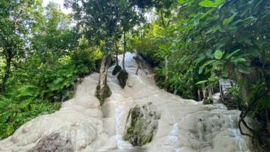 Bua Thong Sticky Waterfall: Chiang Mai travel guide | Thaiger