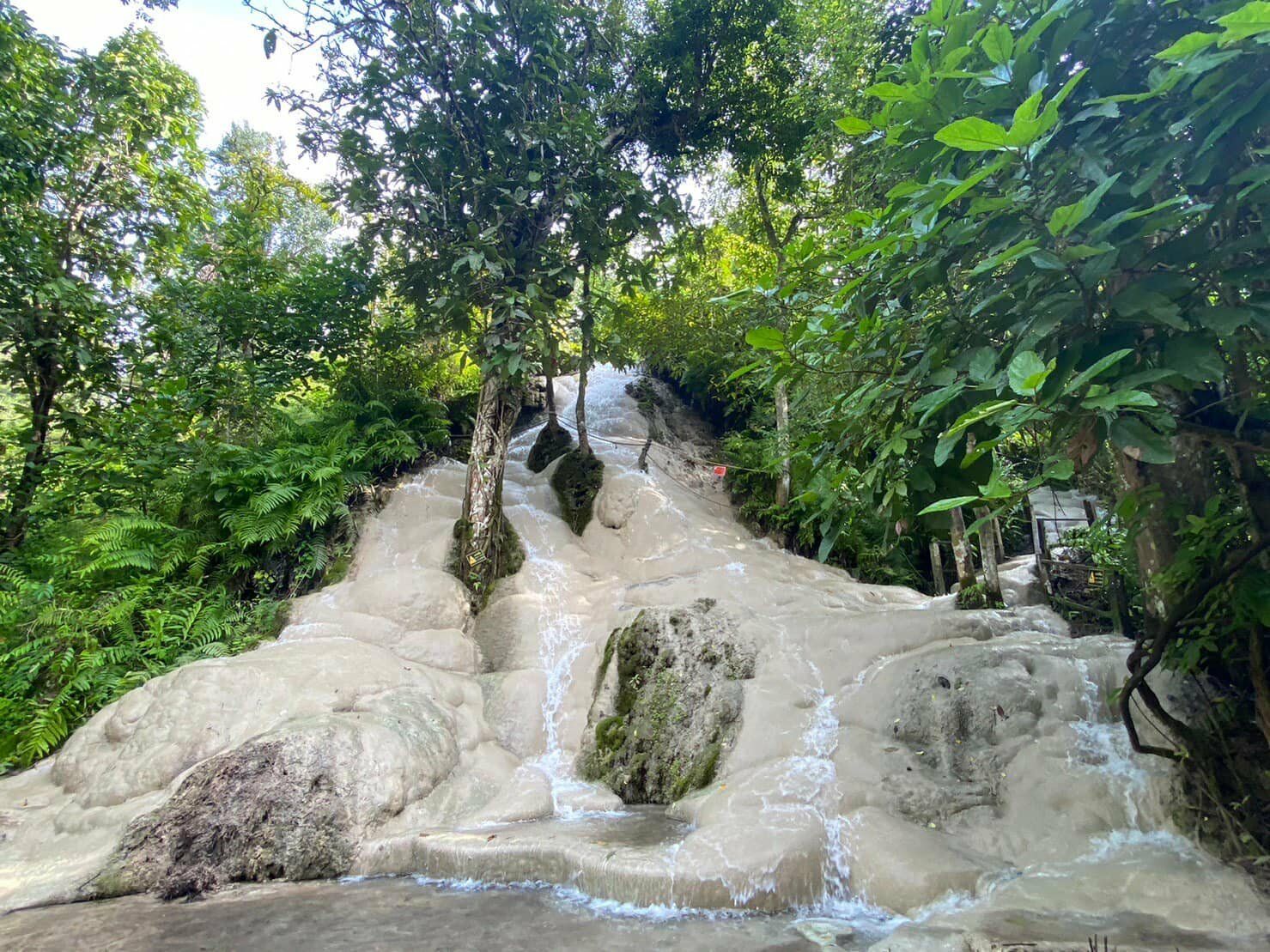 Guide for exploring Bua Thong Sticky Waterfall in Chiang Mai