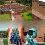 Surin Elephant Museum trumpets into life next month | Thaiger