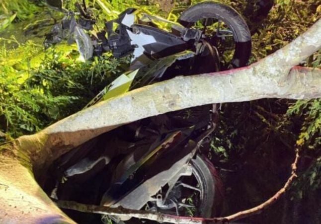 Motorcyclist dies as tree branch falls on him in Nakhon Nayok