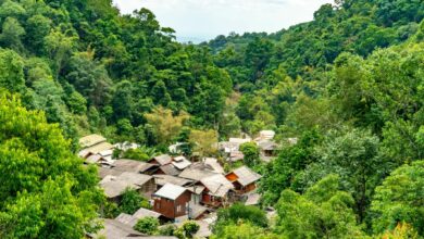 Travel guide to Mae Kampong Village | Thaiger